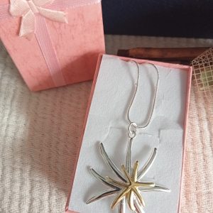 Colgante cadena Estrellas de plata